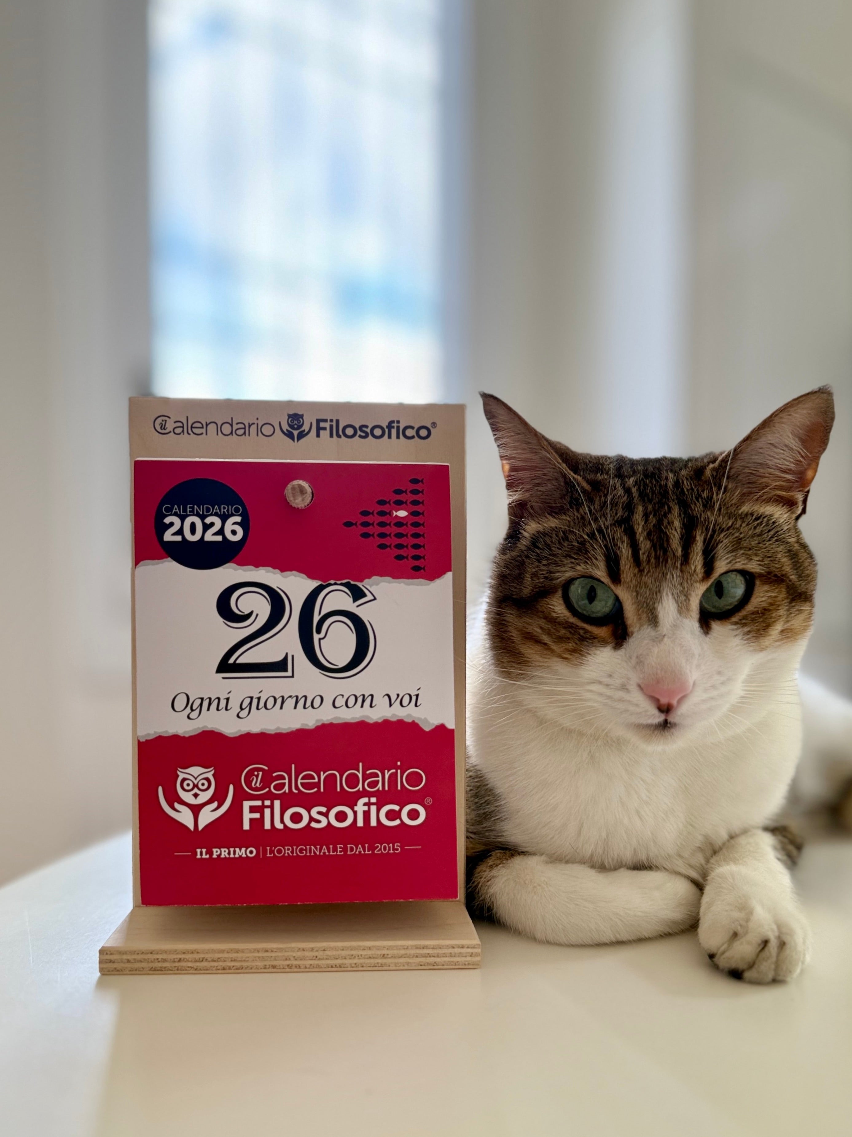 Gocce di Caffe a Bologna