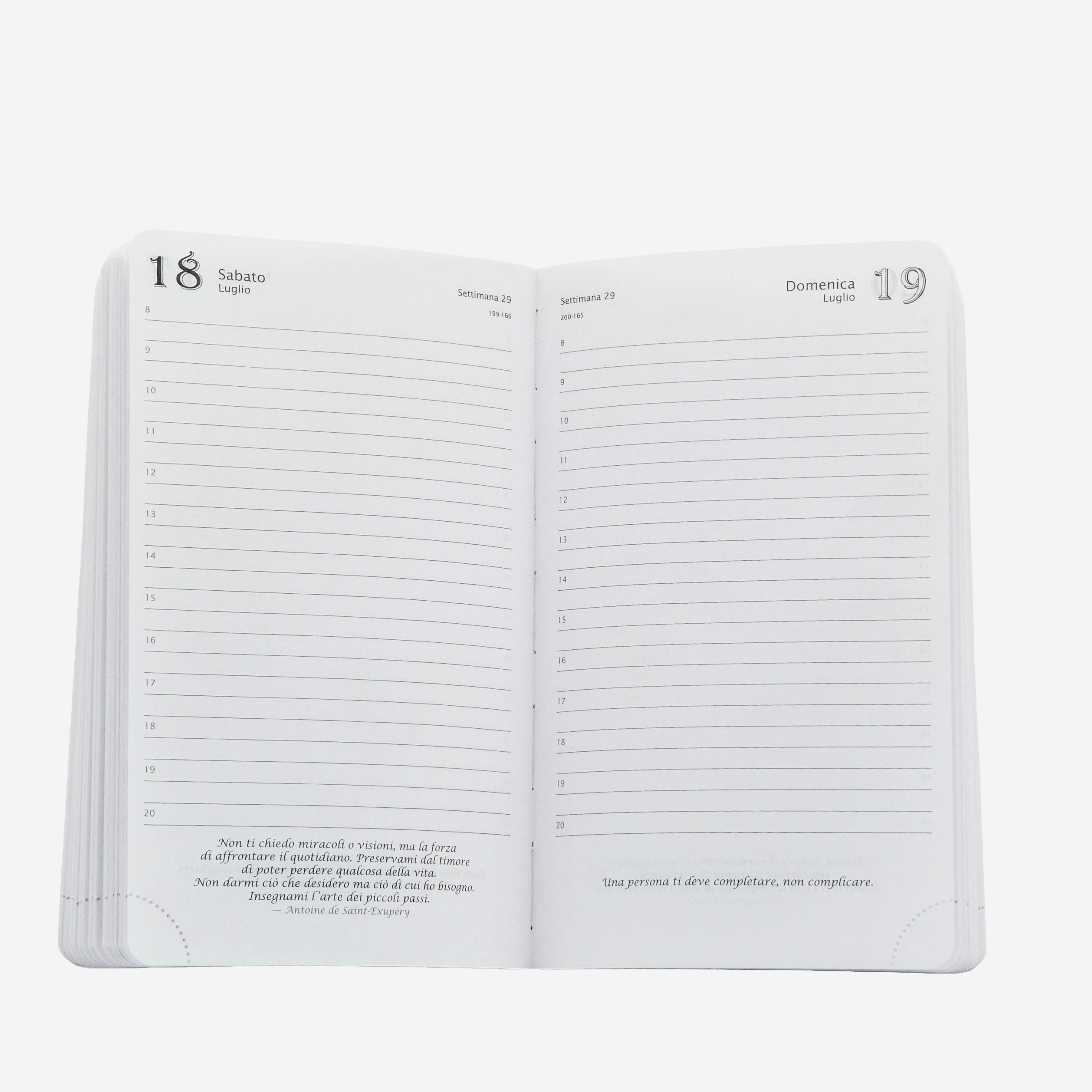 AGENDA FILOSOFICA GIORNALIERA 2026 - MEDIA 13 x 21 CM