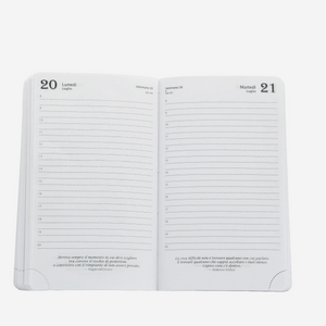 AGENDA FILOSOFICA GIORNALIERA 2026 - MEDIA 13 x 21 CM