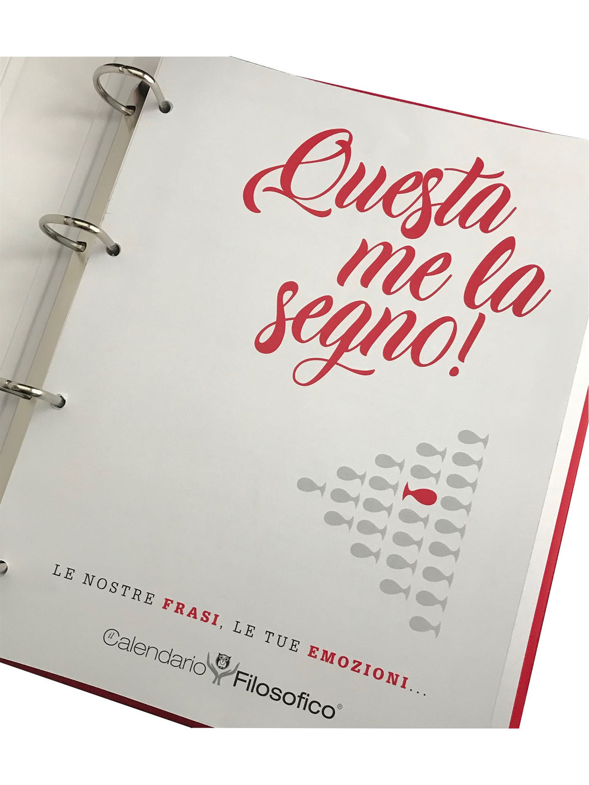 Interno raccoglitore per frasi filosofiche ''Questa me la segno''.